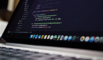Python Python